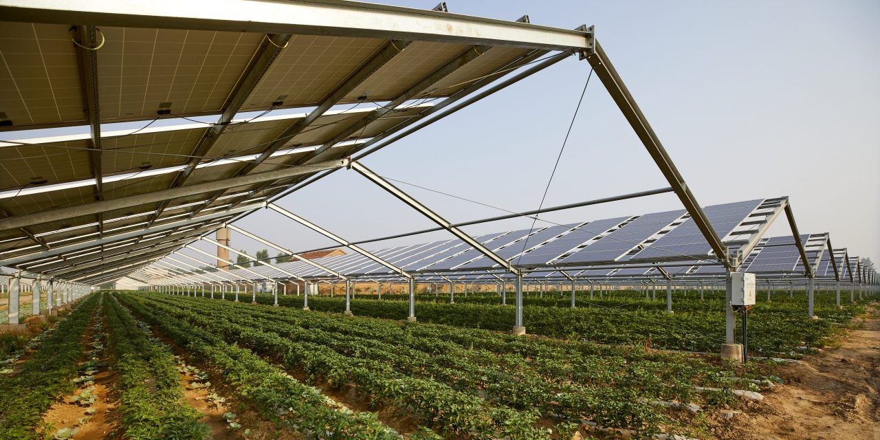 Fintel Energija i MK Group donose inovacije za održivu proizvodnju hrane i energije